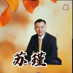 苏瑾